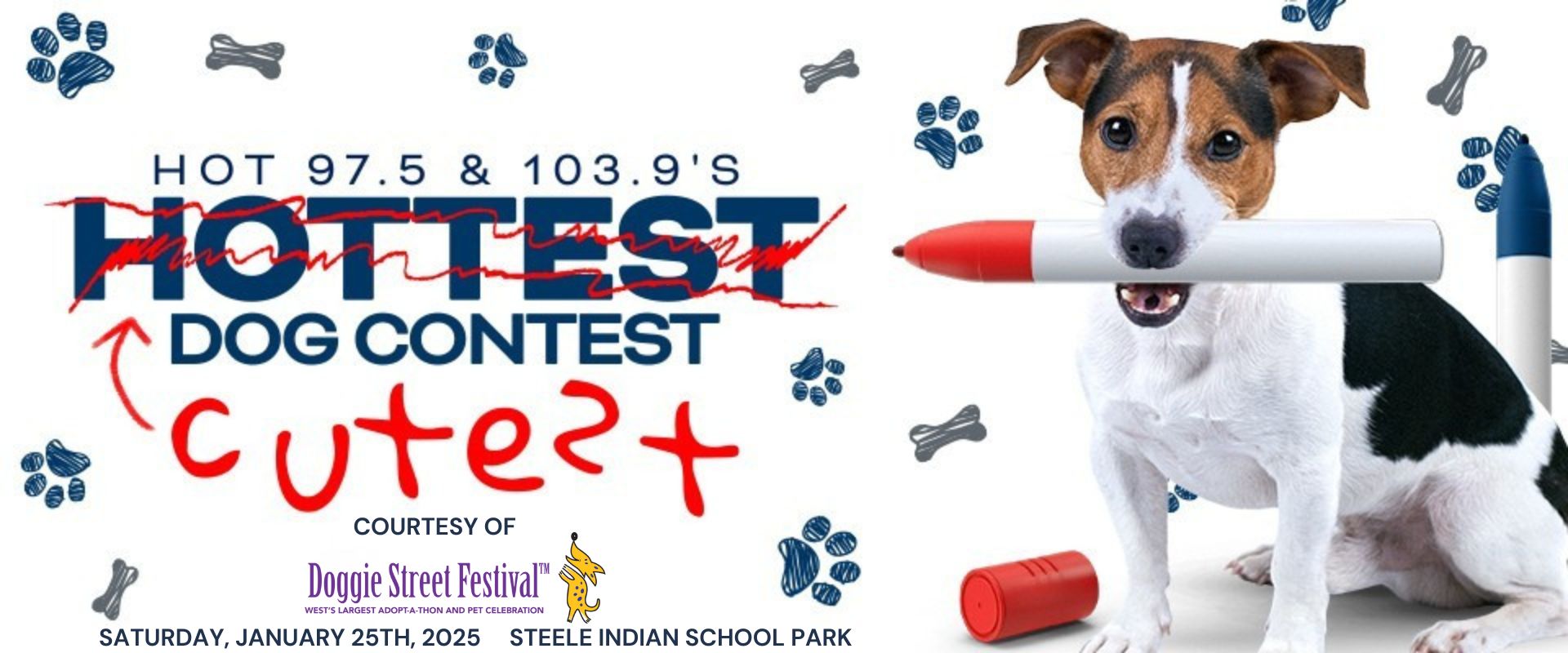 DOGGIE STREET FESTIVAL 1920X800